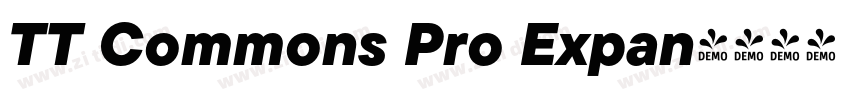 TT Commons Pro Expan字体转换 TT Commons Pro Expan字体转换